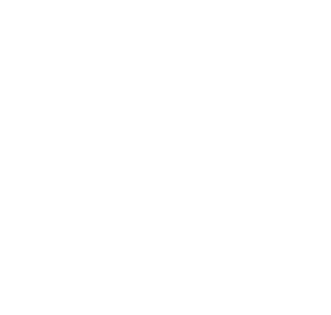 Women United icon